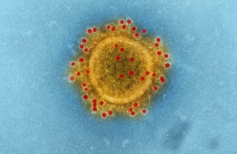 Coronavirus Campaigns Spread Emotet, Malware